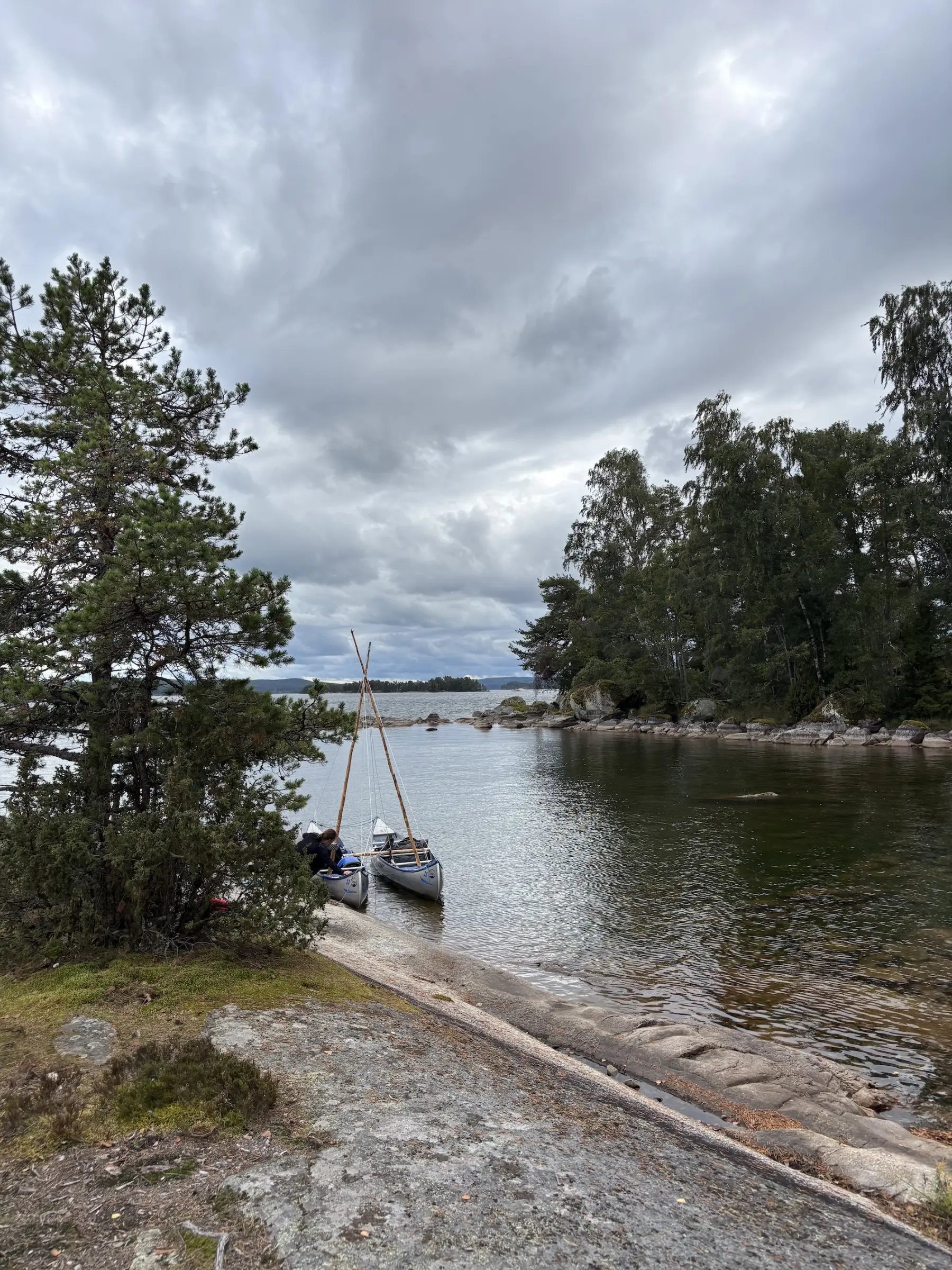 <![CDATA[Wildernisweek Zweden]]>